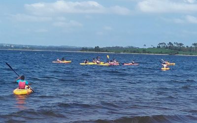 KAYAK