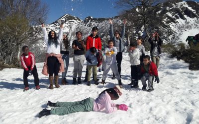 nieve